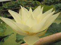 ����: �z�[���y�[�W