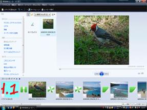 ����: ����: ����: nnnn